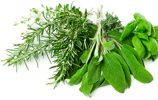 <p>Вся сила вій з <span>Серум-ліфтингом</span> <strong>ELAN</strong></p>