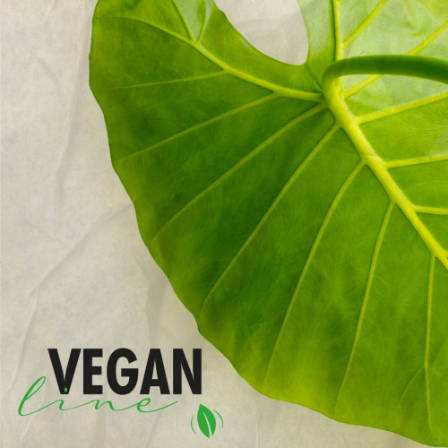 Фарба для брів та вій Thuya Vegan BLACK NIGHT