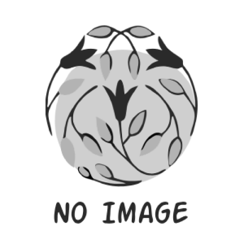 Zola Набір для ламінування Protein Reconstruction System